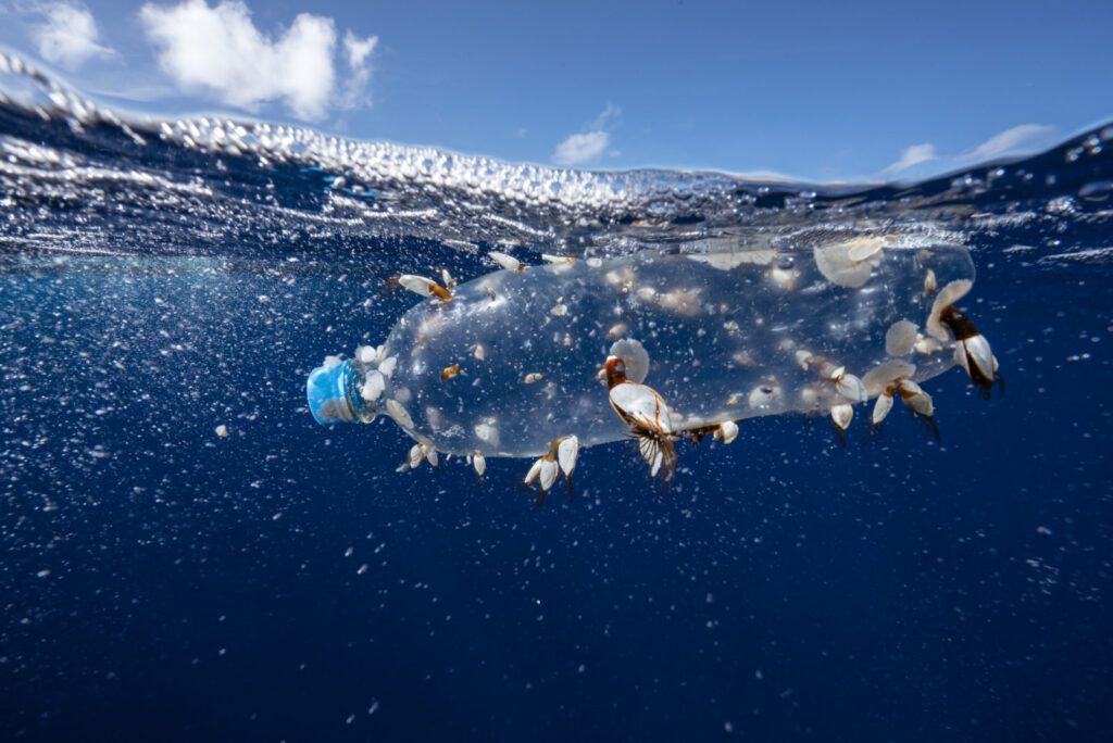 Un „val din plastic” a lovit Africa de Sud (Video)