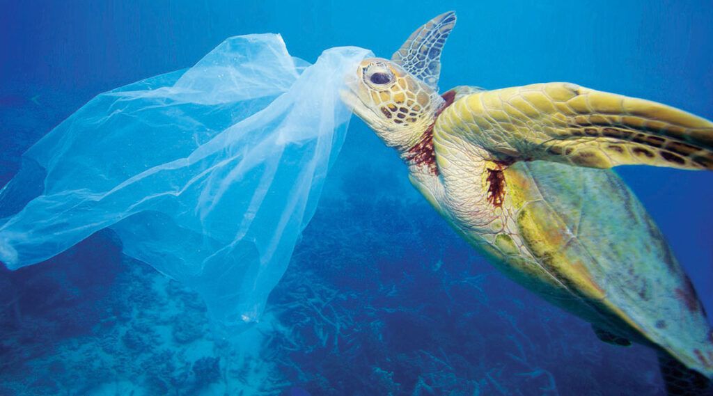 În Japonia s-a aprobat pentru prima dată interzicerea pungilor de plastic în magazine