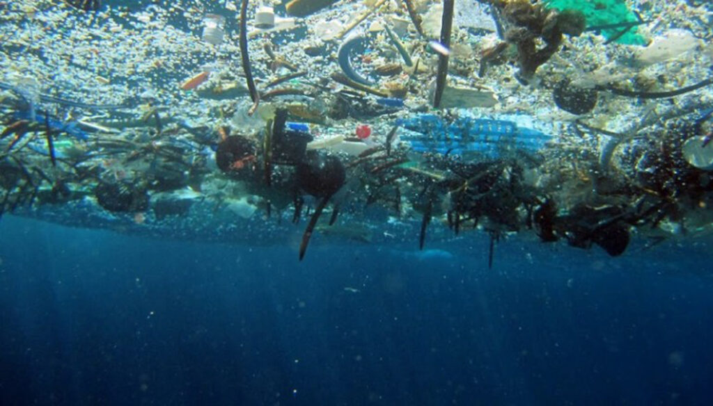 Oceanul poate menține plasticul neschimbat mai mult de 24 de ani