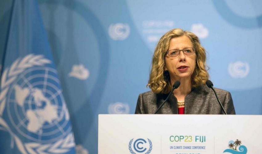 ONU a avertizat despre posibila dispariție a unui milion de specii de animale și plante în aproximativ 50 de ani