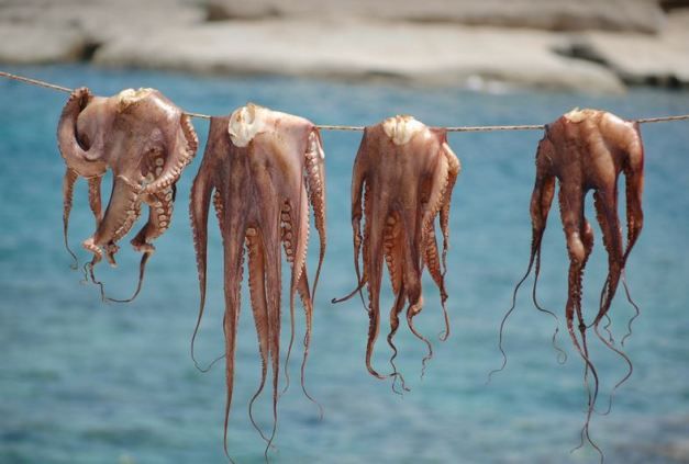 Fructele de mare conțin particule de microplastic