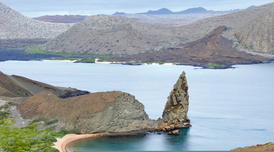 Oamenii de știință au descoperit noi specii de animale pe Insulele Galapagos