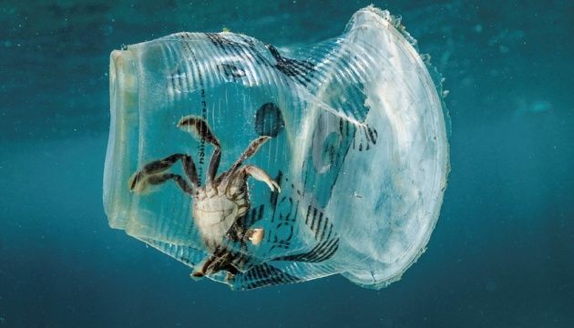 Plasticul din ocean sporește răspândirea maladiilor mortale