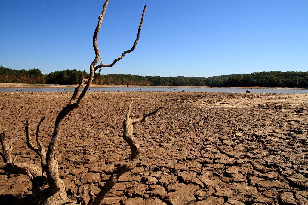 În viitor au fost prognozate  secete catastrofale globale