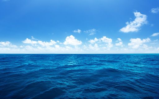 O noua estimare dublează cantitatea de dioxid de carbon absorbită de ocean