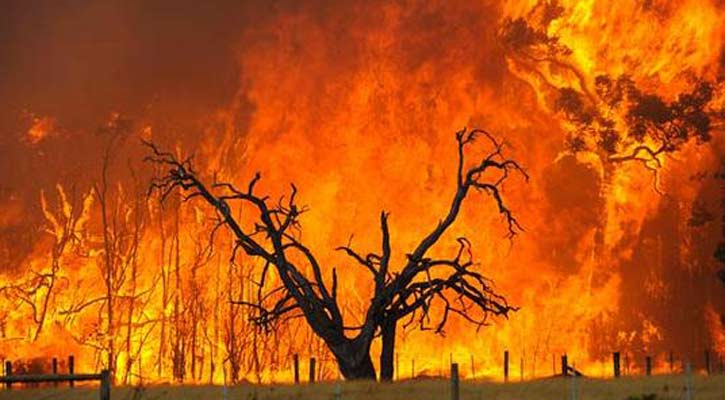 Schimbările climatice sunt asociate riscului crescut de incendii
