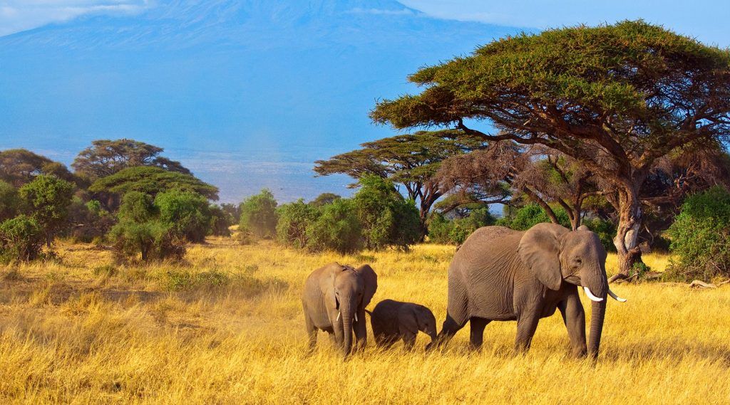 Schimbările climatice amenință dezvoltarea țărilor africane, precum viața și sănătatea locuitorilor lor