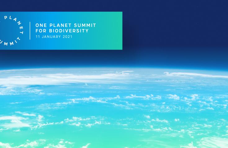 Secretarul general al ONU la Summitul One Planet: Omenirea are șansa de a schimba lumea în bine