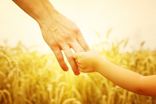 Agricultura va perturba habitatul pentru aproape 90% dintre vertebrate până în anul 2050