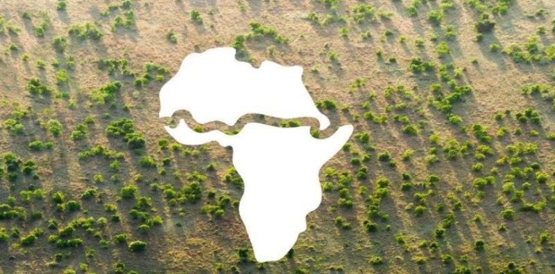 Participanții la One Planet au susținut crearea „Marelui Zid Verde” în Africa