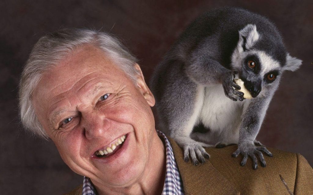 David Attenborough: Schimbările climatice reprezintă o amenințare la adresa securității globale