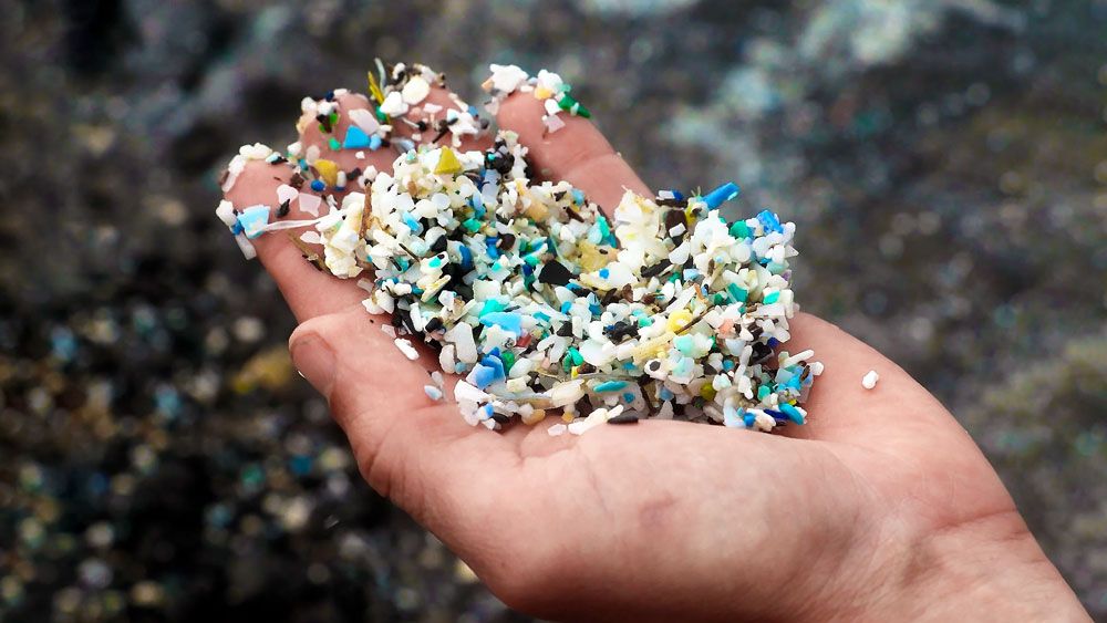 The Guardian: Biologii au descoperit o modalitate de a colecta microplastice folosind bacterii