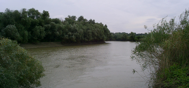 Programul de gestionare a districtului bazinului hidrografic Dunărea - Prut și Marea Neagră, aprobat de Executiv