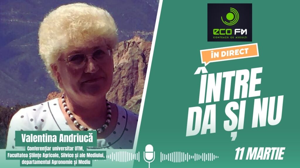 Între DA și NU 11.03.2025