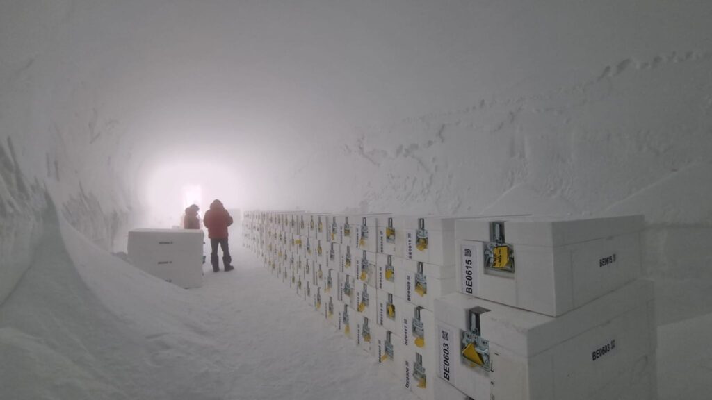 Cea mai veche gheață din Antarctica adusă în Marea Britanie