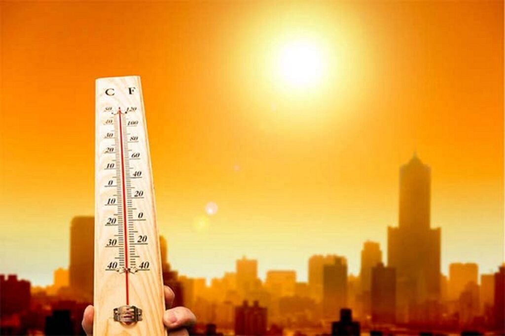 Valul de căldură din Marea Mediterană afectează viața marină: oamenii de știință trag un semnal de alarmă