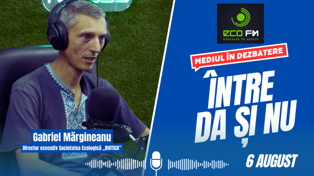Intre DA si NU 06.08.2025