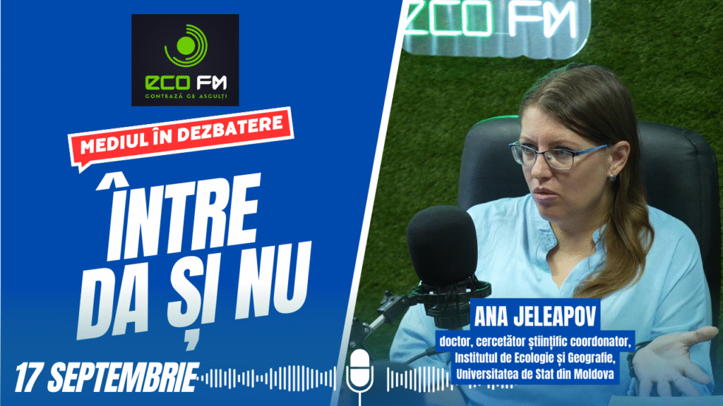 Între DA și NU 17.09.2025