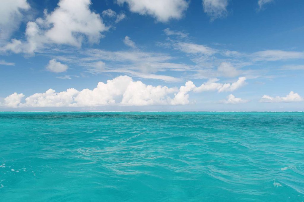 Acidificarea oceanelor a depășit nivelul critic, marcând a șaptea limită planetară
