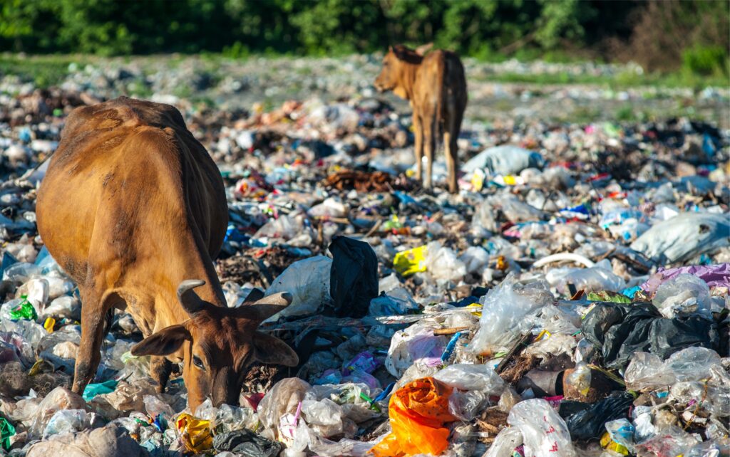 STUDIU:Poluarea cu plastic costă anual omenirea 1,5 trilioane de dolari