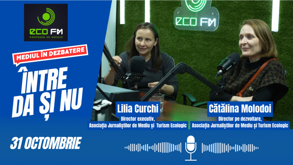 Între DA și NU 31.10.2025