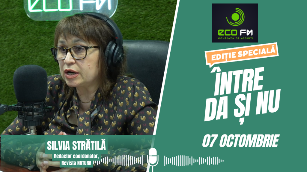 Între DA și NU 07.10.2025
