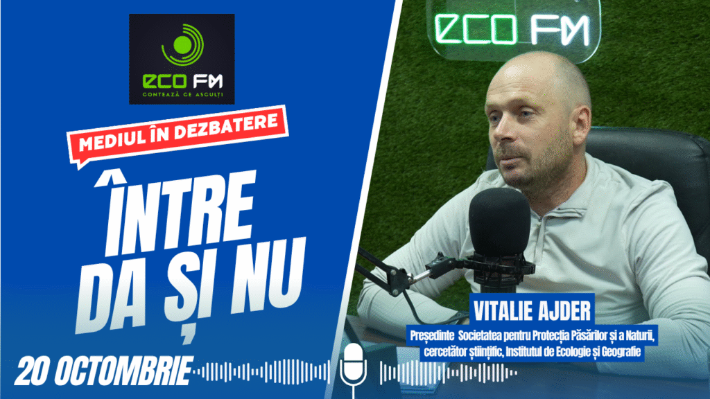 Între DA și NU 20.10.2025