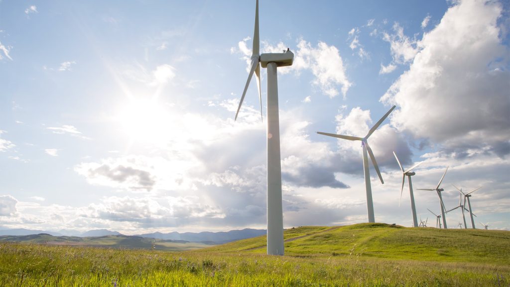 Centralele electrice eoliene vor fi instalate conform unor reguli clare, aprobate printr-un ordin al Ministerului Energiei