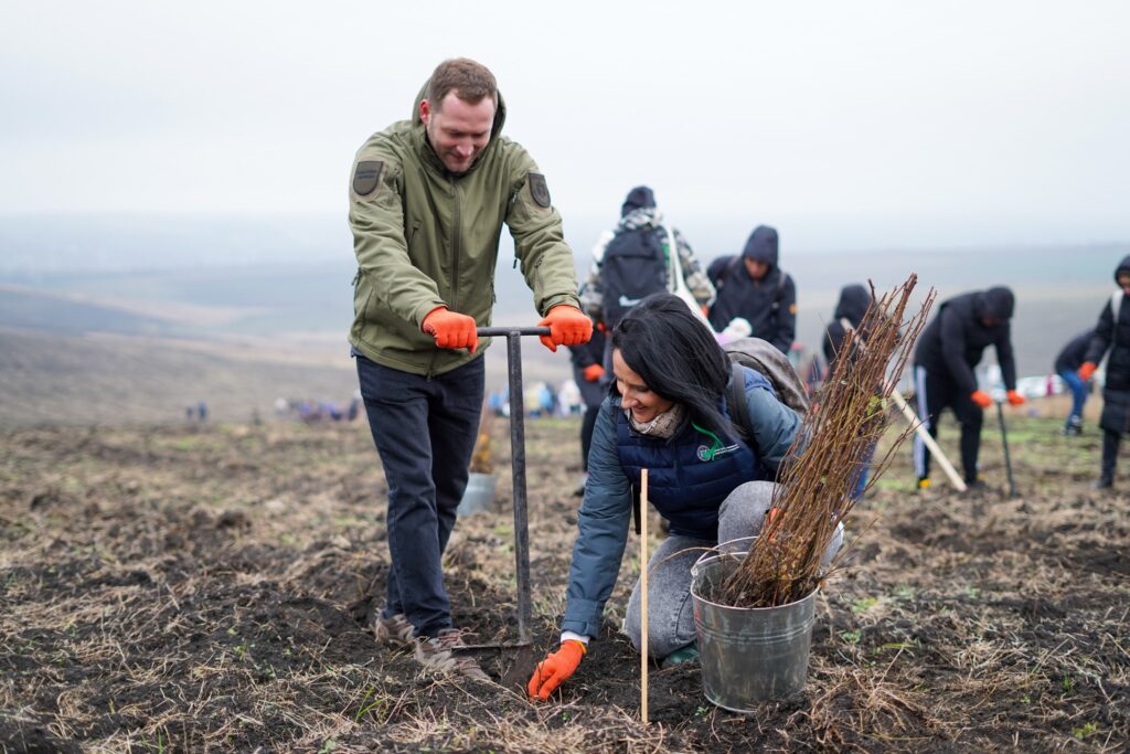 1000 de voluntari au participat la plantarea de la Mihailovca, Cimișlia
