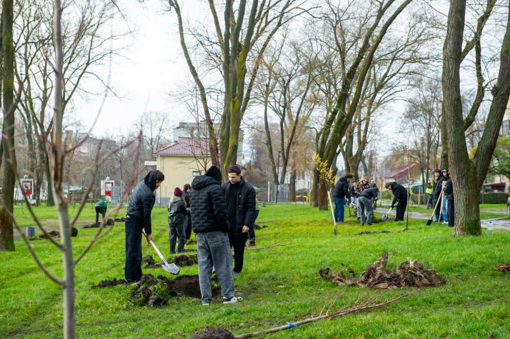 Elevii-voluntari din Bălți au plantat 100 de tei în cadrul proiectului INTERREG NEXT România–Republica Moldova 